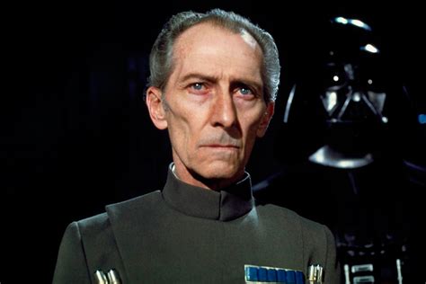 governor tarkin|who is grandmoff tarkin.